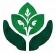 brigainz_logo